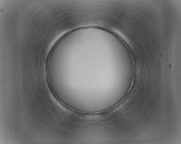 X0000073721468200608031003