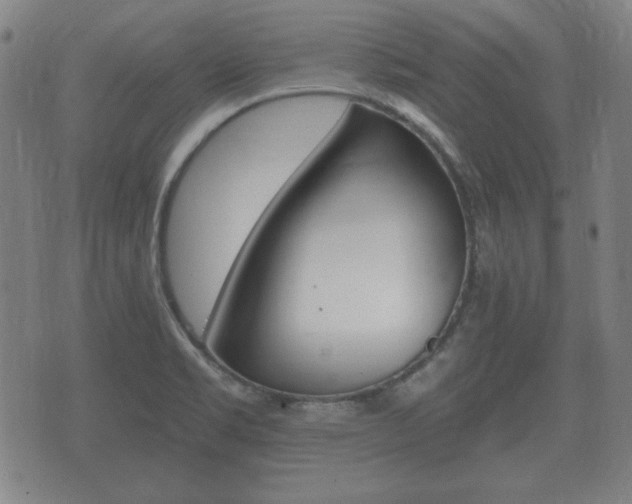 X0000073721469200608031003