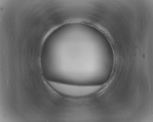 X0000073721473200608031003