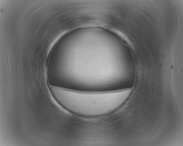 X0000073721476200608031003