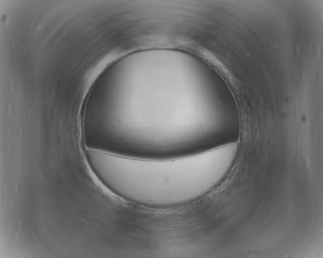 X0000073721479200608031003