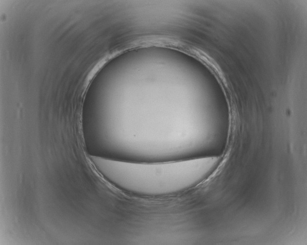 X0000073721481200608031003