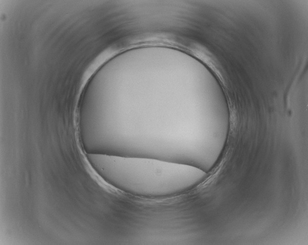 X0000073721482200608031003