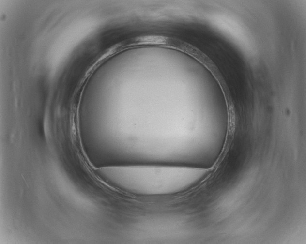 X0000073721487200608031003