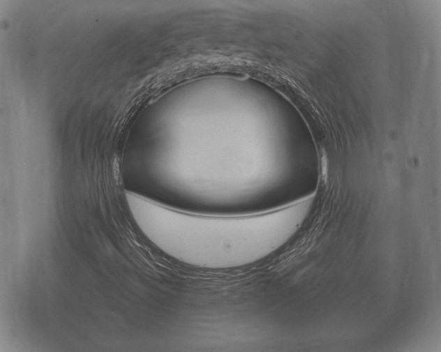 X0000073721492200608031002