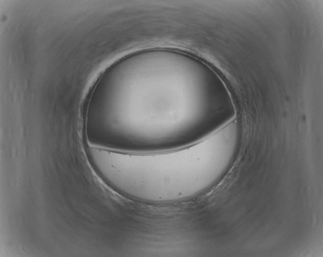 X0000073721508200608031002