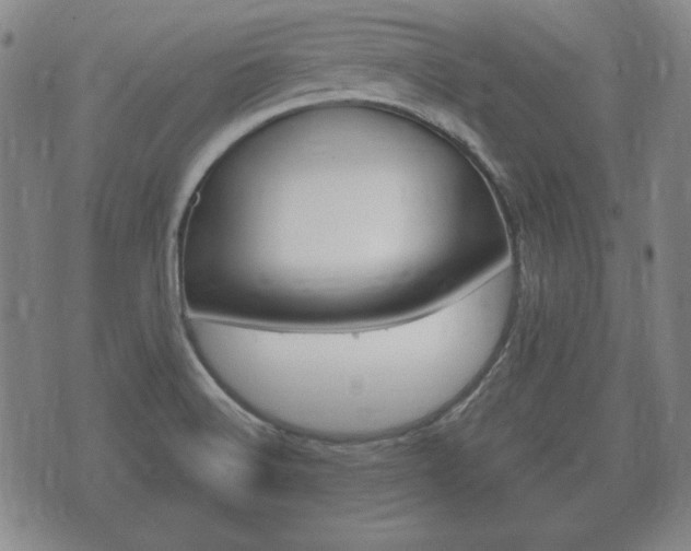 X0000073721516200608031003