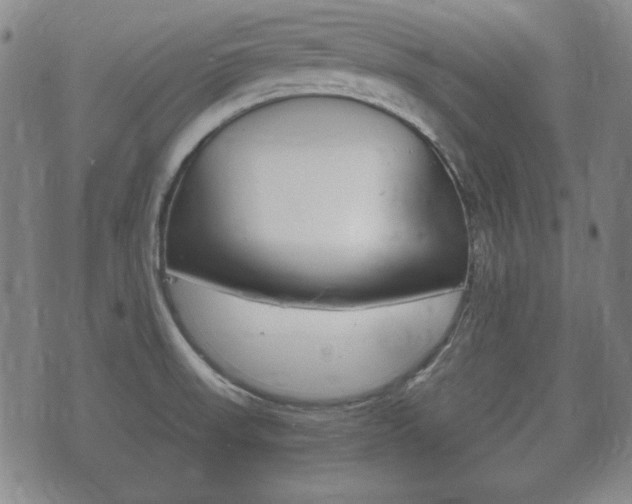 X0000073721523200608031003
