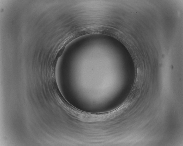 X0000073720048200608031315