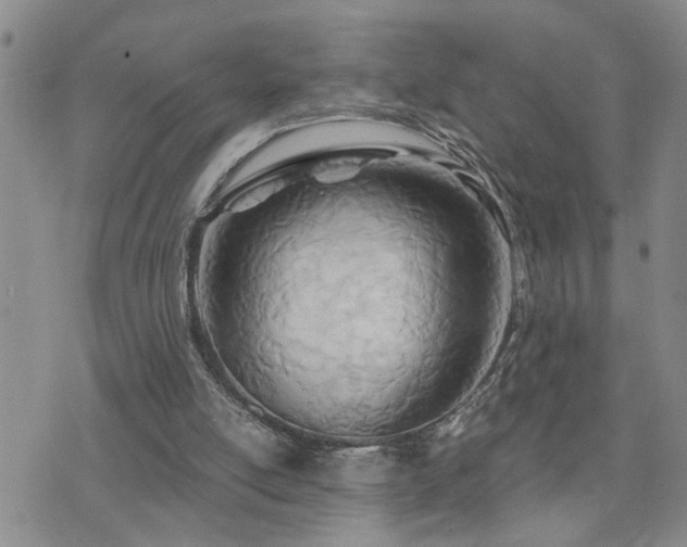 X0000073720054200608031315