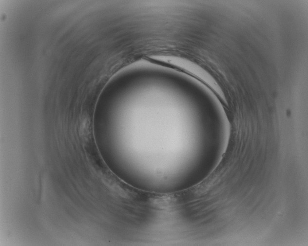 X0000073720079200608031315