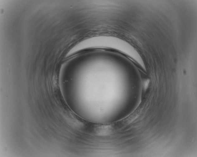 X0000073720081200608031315