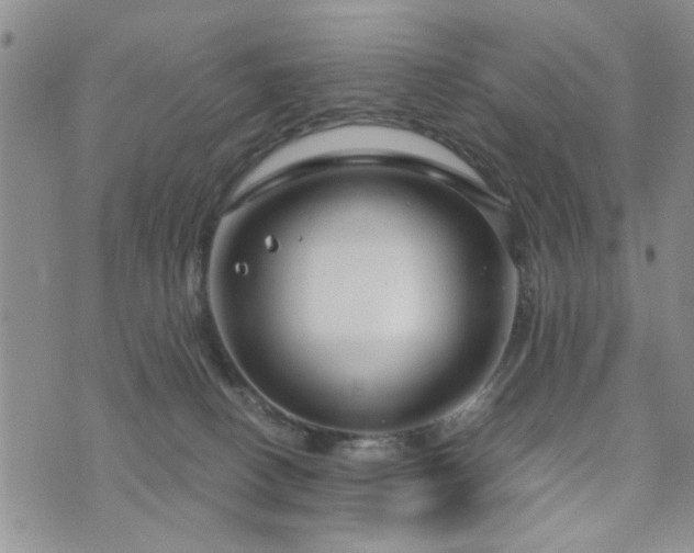 X0000073720082200608031315