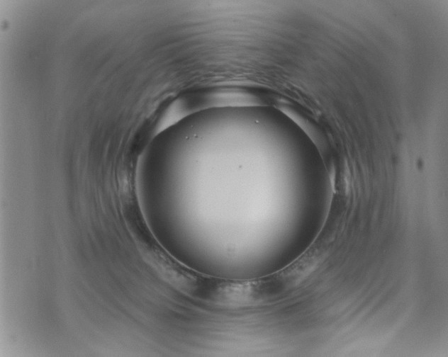 X0000073720084200608031315