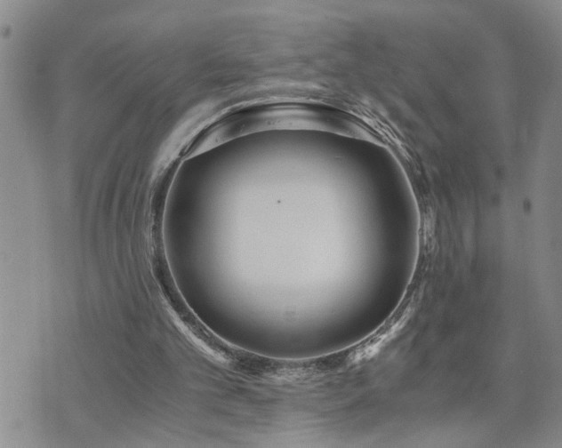 X0000073720101200608031314