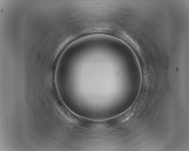 X0000073720107200608031314