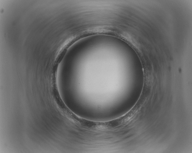 X0000073720111200608031314