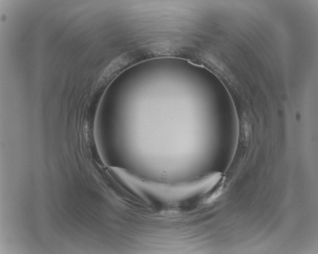 X0000073720117200608031314
