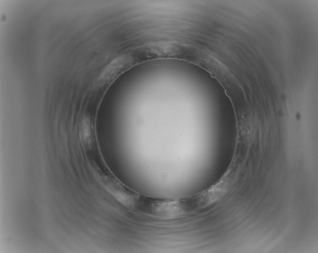 X0000073720132200608031314