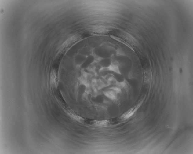 X0000073720143200608031314