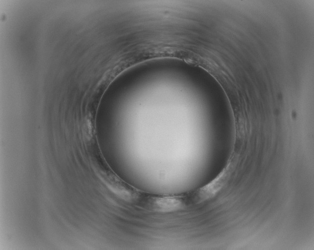 X0000073720183200608031314