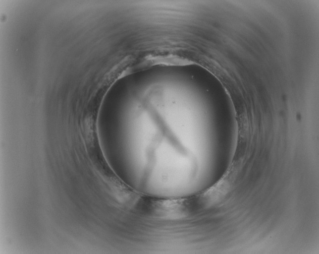 X0000073720184200608031314