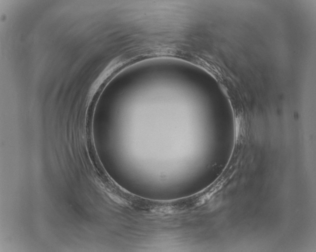 X0000073720195200608031313