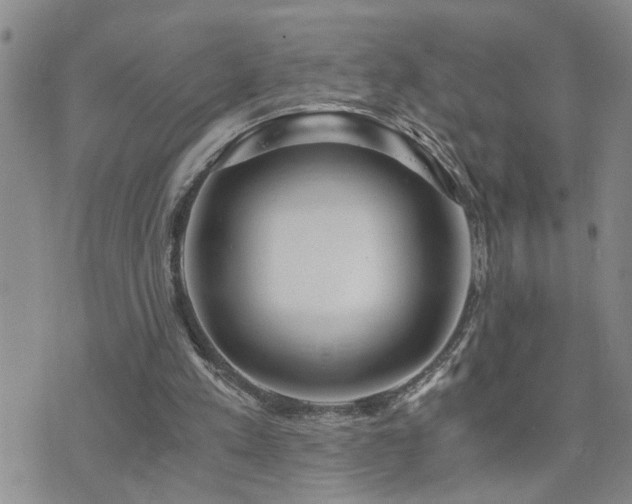 X0000073720197200608031313