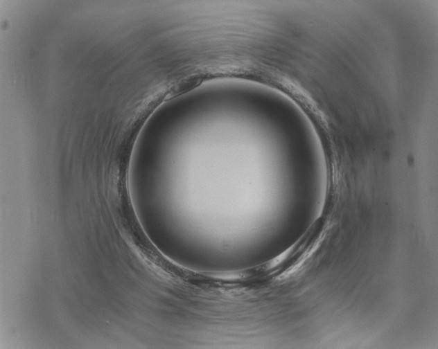 X0000073720201200608031313