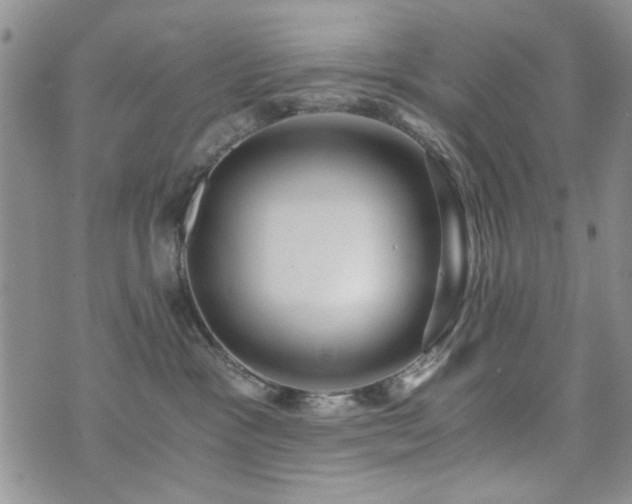 X0000073720333200608031311