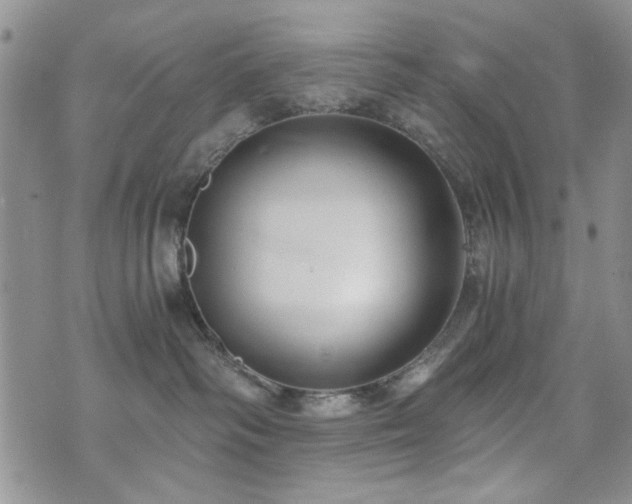 X0000073720334200608031311