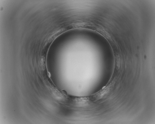 X0000073720378200608031310
