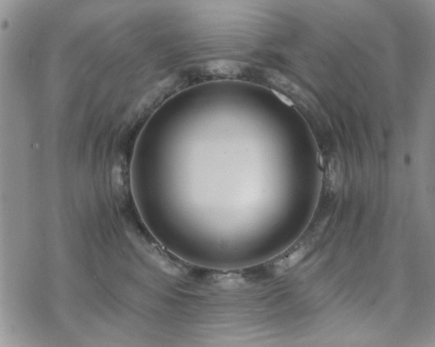 X0000073720424200608031309