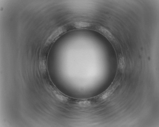 X0000073720426200608031309