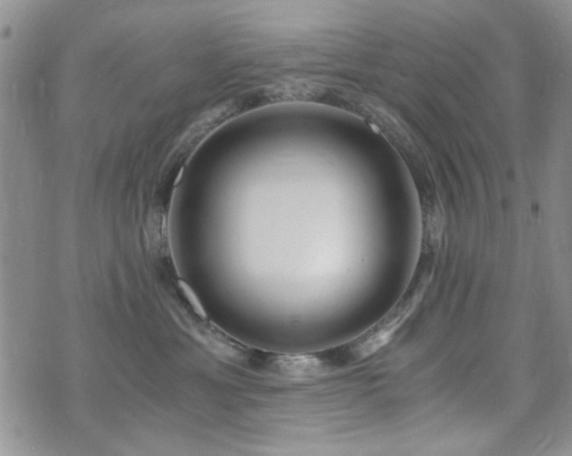 X0000073720429200608031309
