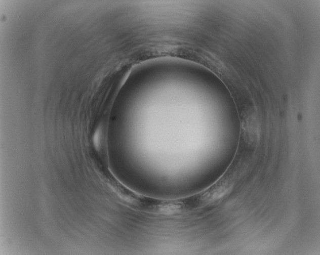 X0000073720462200608031309