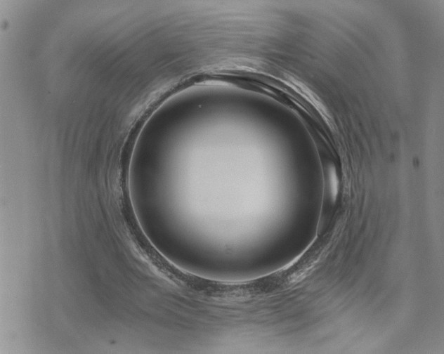X0000073720485200608031308