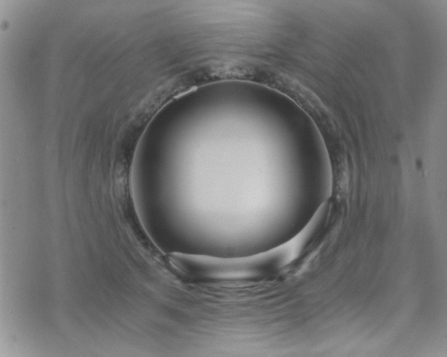 X0000073720513200608031308