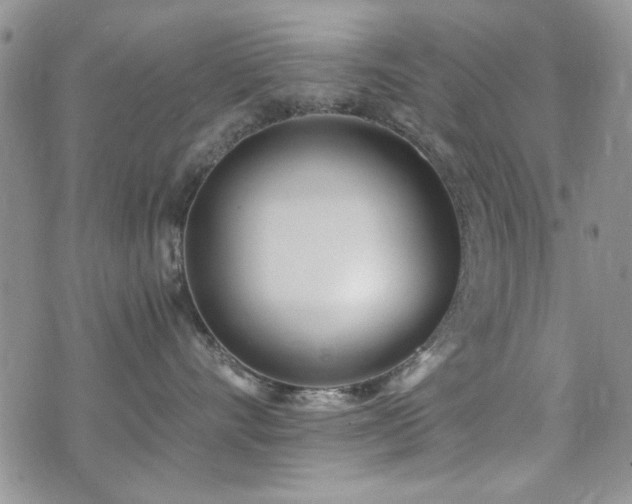X0000073720528200608031307