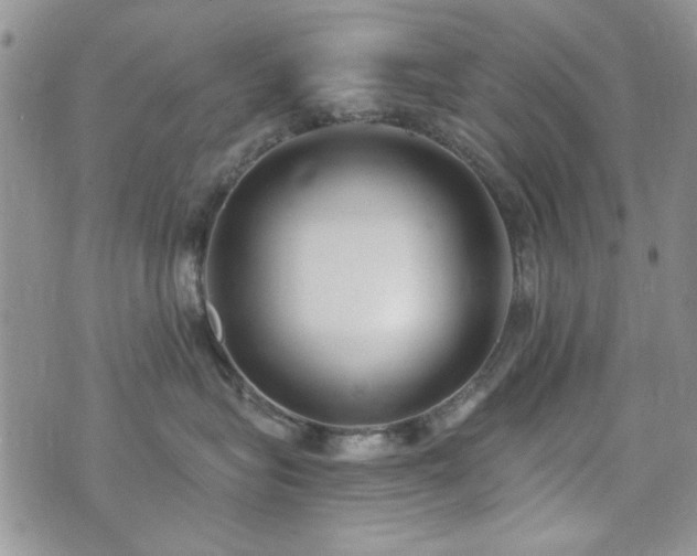 X0000073720575200608031307