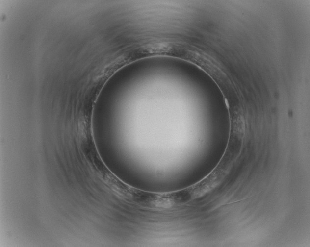 X0000073720604200608031306