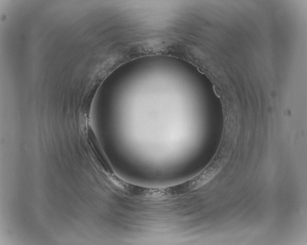 X0000073720624200608031306