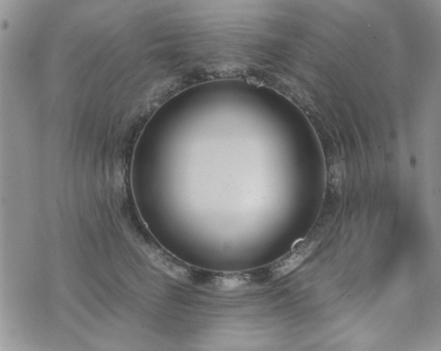 X0000073720662200608031306