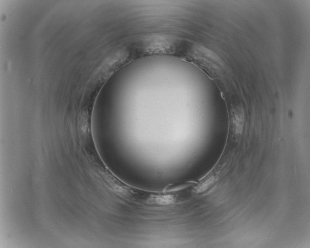 X0000073720665200608031306