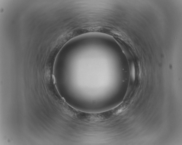 X0000073720697200608031305