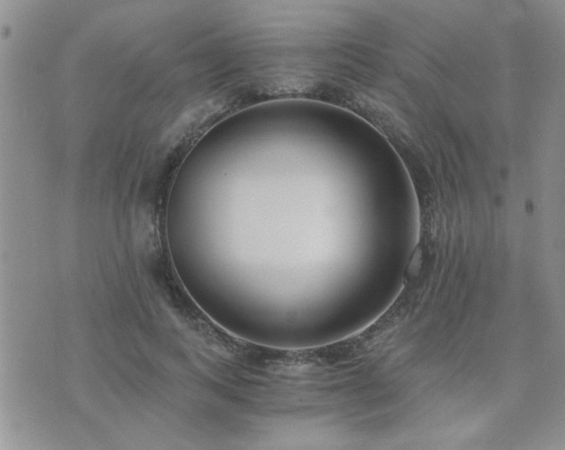 X0000073720743200608031304