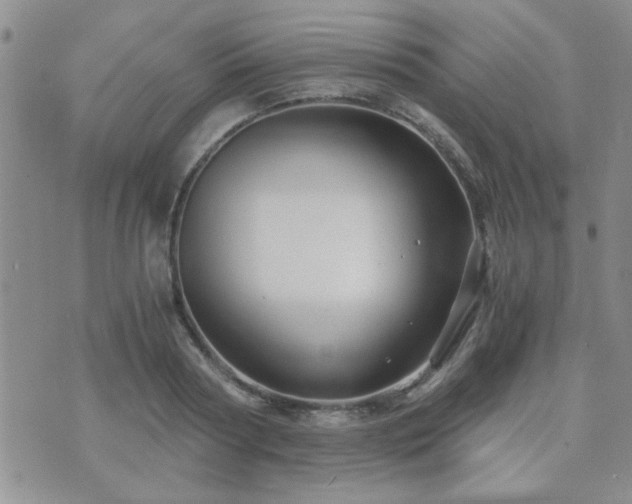 X0000073720794200608031303