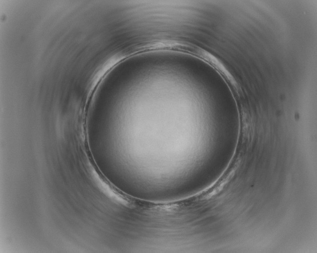 X0000073720810200608031303
