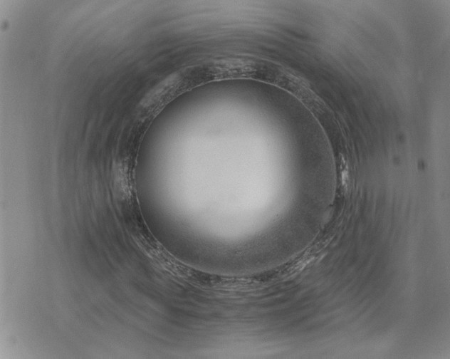 X0000073720819200608031302