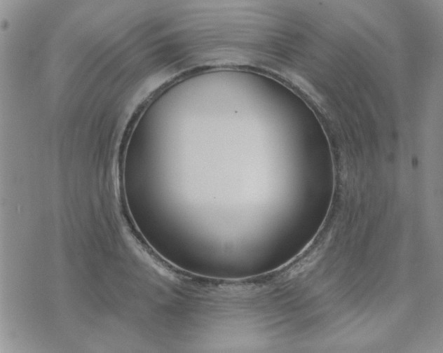 X0000073720840200608031302